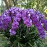 Фото профиля Faty