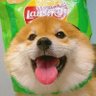 Фото профиля chips