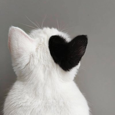 P's profile picture