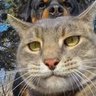 Miti's profile picture