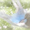 Profilbild von hamin haru