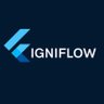 Igniflow's profile picture