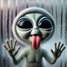 Dirisha Fontana's profile picture