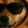 SteaminHeeman2109's profile picture