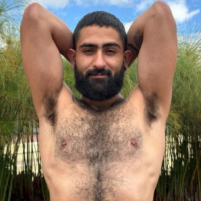 Damian's profile picture