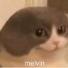 Profilbild von melvin