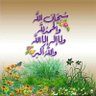 hussain alzhrani's profile picture