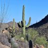 Фото профиля AibouArizona