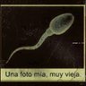 antoneloyo's profile picture