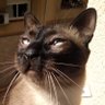 JL profil fotoğrafı