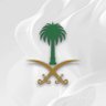 ابو يزيد السناني's profile picture