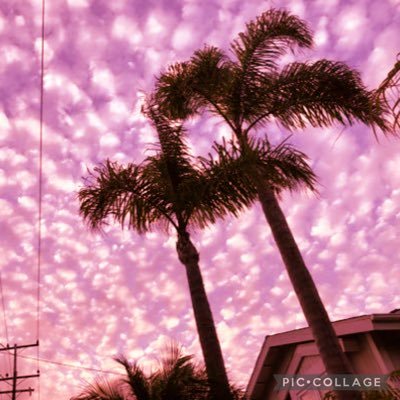 a_kikokk0129's profile picture