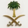 Фото профиля 🇸🇦𝐌𝐁𝐒🇸🇦 𝐒𝐀𝐔𝐃
