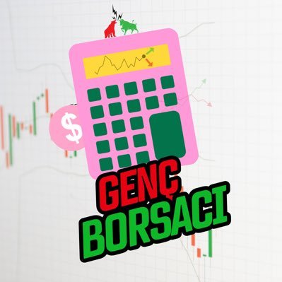 Genç Borsacı's profile picture