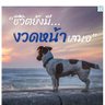 ลมพัดหวน 👉Lovesirium👈's profile picture