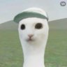 tingting's profile picture