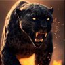 Wolf's profile picture