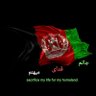 Sayed Najibullah Sajadi profil fotoğrafı