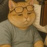 Uncle Orange Cat profil fotoğrafı