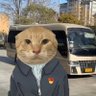 eMeaB's profile picture