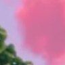 kozu's profile picture