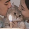 0xcfzy 的头像