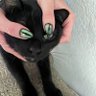 A bb y profil fotoğrafı