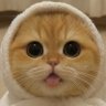 ふみ's profile picture