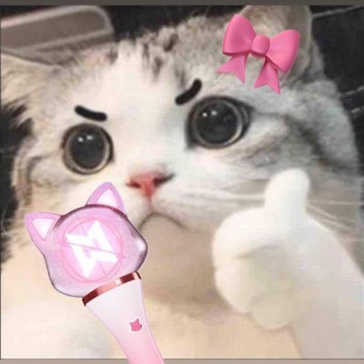 ꔛ 🐈☁️ *'s profile picture