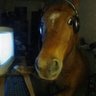house's profile picture