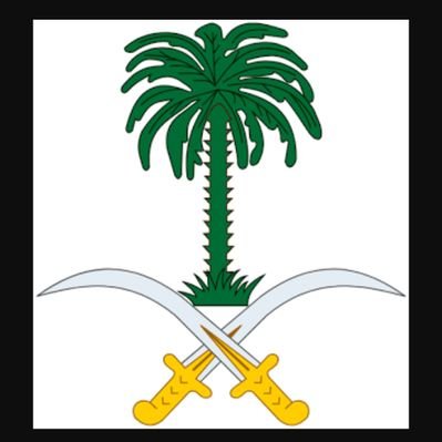 yehya_ogadi's profile picture