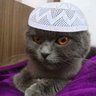 iMANLI KEDİ λ #HalfLifeBekliyor 的头像