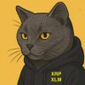 にゃんこQ's profile picture