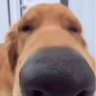 Profilbild von Snowwy