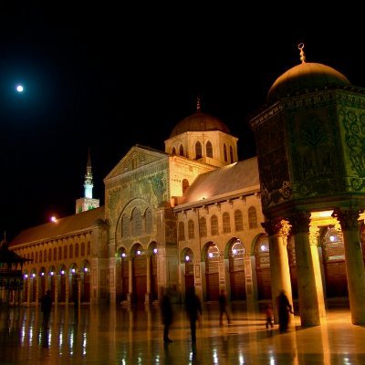 shamomayah's profile picture