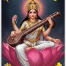 krishna thapa π² 的头像