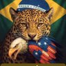 🇧🇷CSouza 的头像
