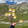 爱吃花生米 的头像