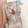 Beghairat Billo 的头像
