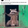 harris Davis's profile picture