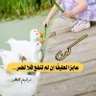 Profilbild von ترانيم المطر🍃🇸🇦