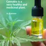 Фото профиля Egusi specialist