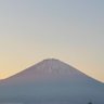 クロ's profile picture