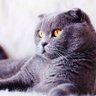 Profilbild von Gigi Pretty