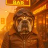Jimmy Dawg 的头像