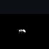 ti_millionaire💸_🐜🐜's profile picture