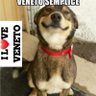 Frenco's profile picture