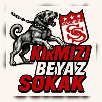 Kırmızı Beyaz Sokak's profile picture