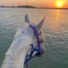 ideesz profil fotoğrafı