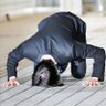 日本人ファースト's profile picture